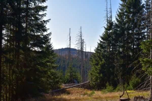 N&aacute;rodn&yacute; park &Scaron;umava