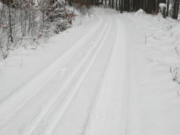 Ilustračn&eacute; foto: Ing. Pavol Konečn&yacute; 