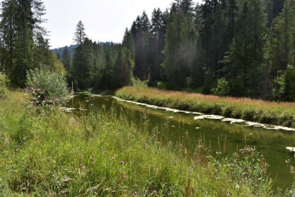 Ilustračné foto Jozef Marko