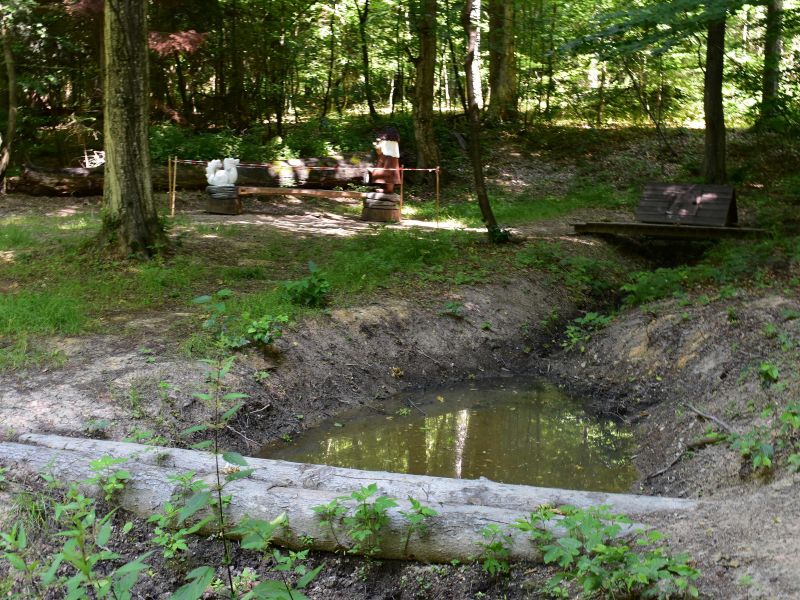 Ilustračné foto: Jozef Marko 