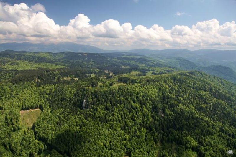 Nádherné lesy obnovované lesníkmi v Národnom parku Muránska planina 