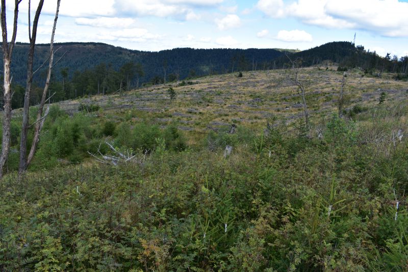 Ilustračné foto Jozef Marko