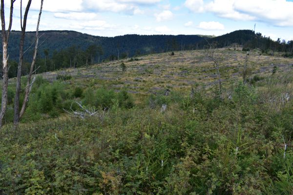 Ilustračn&eacute; foto Jozef Marko