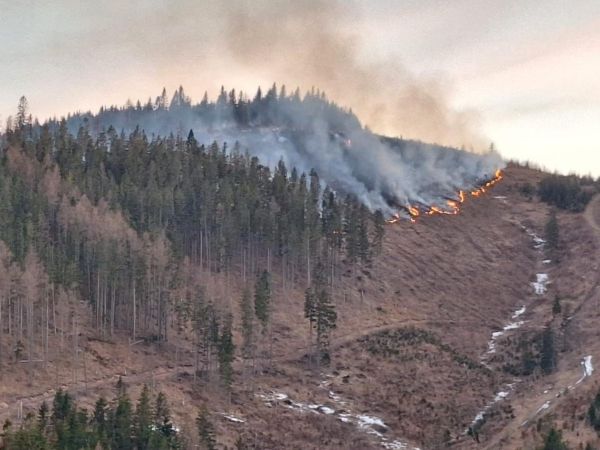 Požiar v lesnom poraste pri Spišskej Teplici 