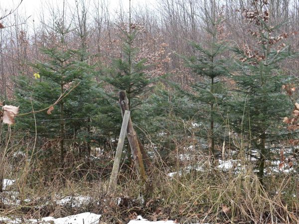 Ilustračné foto: Jozef Marko 