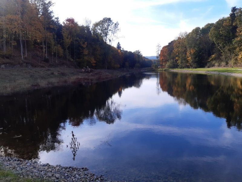Foto: internetová stránka Lesy ČR š. p. 