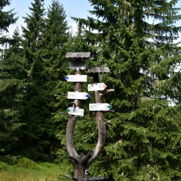 Ilustračné foto Jozef Marko