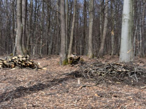 Ilustračné foto: Jozef Marko 