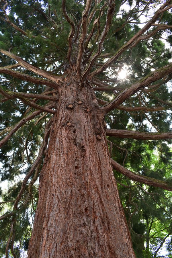 Ilustračn&eacute; foto Jozef Marko