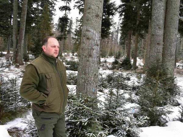 Ing. Franti&scaron;ek Pisarč&iacute;k v porastoch Lesov mesta Spi&scaron;sk&aacute; Bel&aacute; 