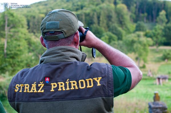 Ilustračn&eacute; foto: &Scaron;OP SR 