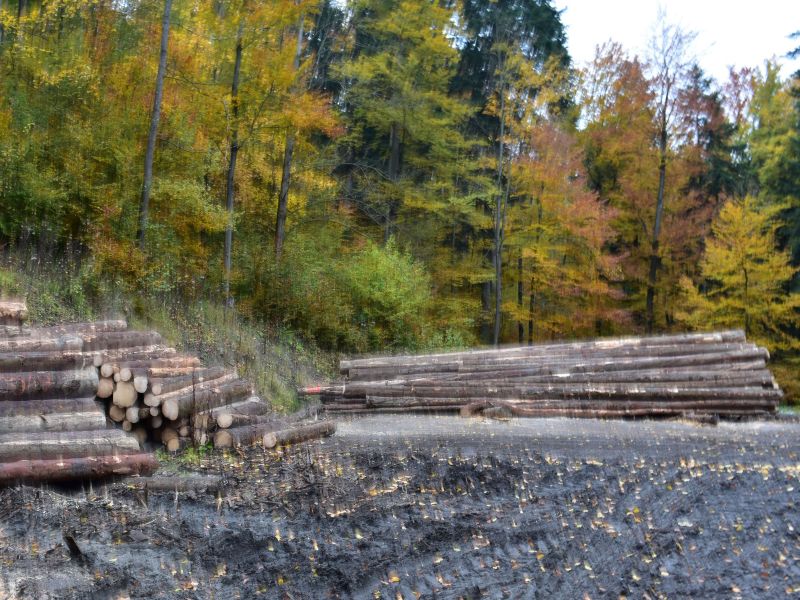 Ilustračn&eacute; foto: Jozef Marko 