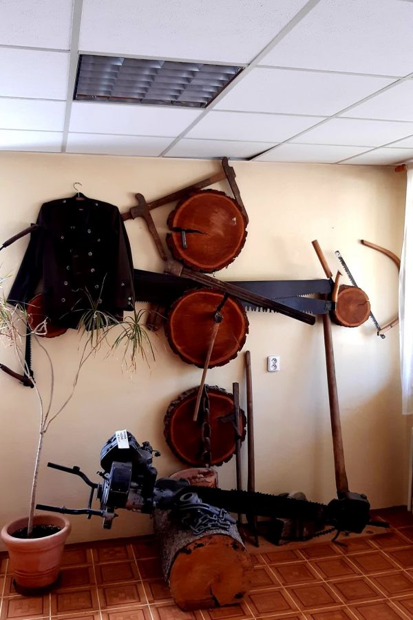 Mal&aacute; lesn&iacute;cka expoz&aacute;cia na lesnej spr&aacute;ve v Mur&aacute;ni