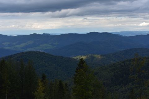 Zdravé a vitálne lesy, odborne obhospodarované lesníkmi v okolí Gelnice 