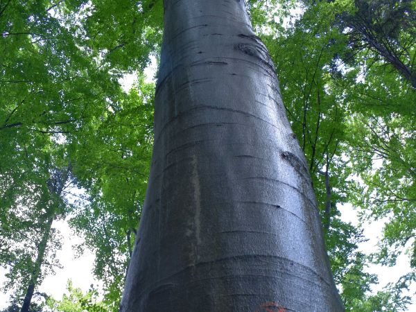 Ilustračné foto: Jozef Marko 