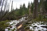 V&yacute;vraty a zlomy veternej kalamity na turistickom chodn&iacute;ku 