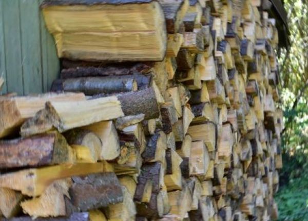 Ilustračn&eacute; foto: Jozef Marko 