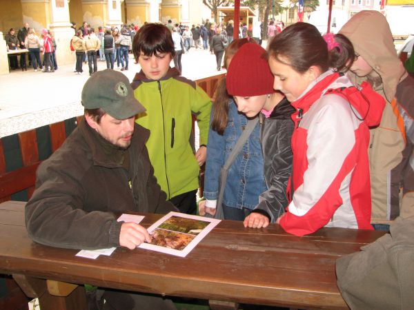 O lese vyučuj&uacute; v lese