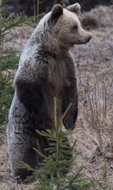 Ilustračné foto: Ing. Pavol Lenko 