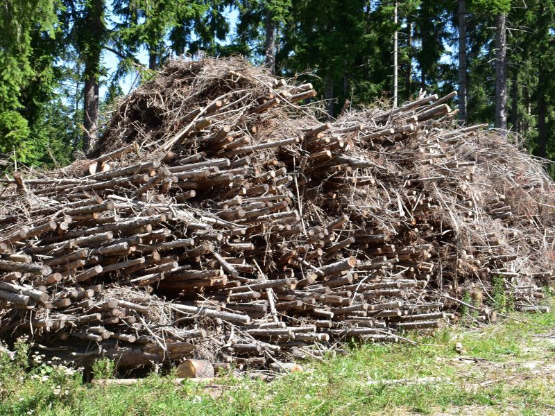 Ilustračn&eacute; foto: Jozef Marko 