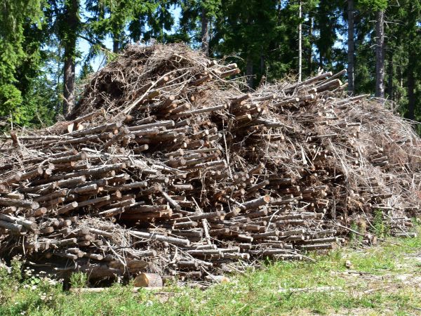 Ilustračn&eacute; foto: Jozef Marko 