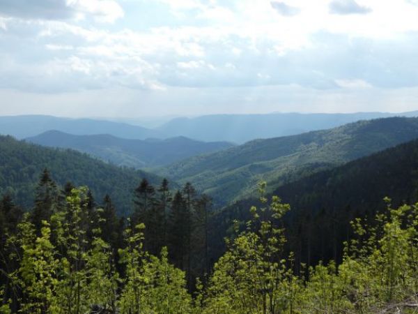 Na Mur&aacute;nskej planine