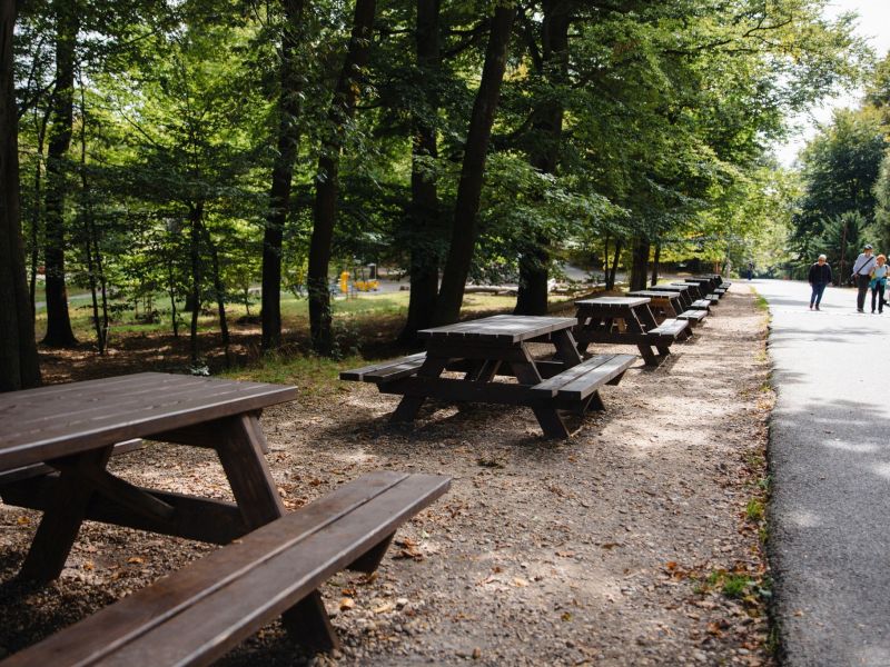 Zdroj: FB str&aacute;nka Mestsk&eacute; lesy v Bratislave 