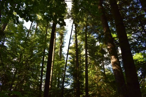 Ilustračné foto Jozef Marko