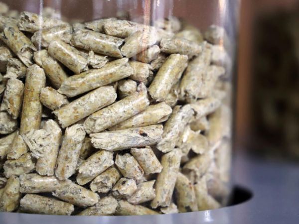 Zdroj: ENERGIE-PORTAL.sk 