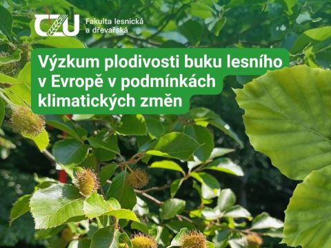 Zdroj: FB stránka LDF ČZU Praha 