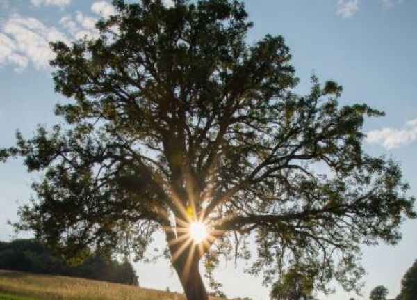 Nad&aacute;cia Ekopolis vyhlasuje letn&uacute; Instas&uacute;ťaž Tour de STROM