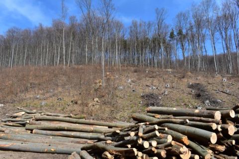 Ilustračné foto Jozef Marko