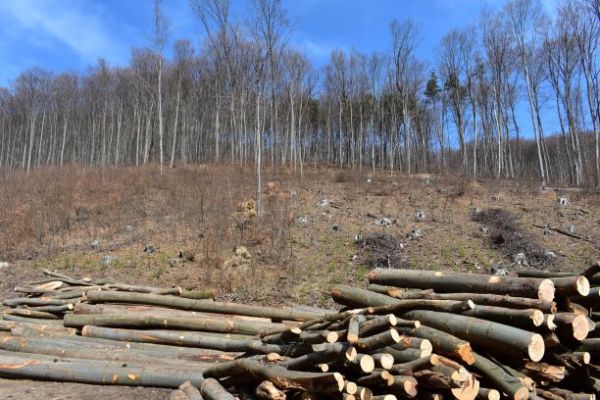 Ilustračn&eacute; foto Jozef Marko