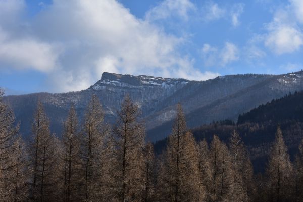 Ílustračné foto Jozef Marko