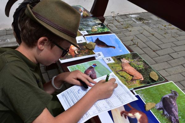 S&uacute;ťažiaci pri pozn&aacute;van&iacute; zvierat a vt&aacute;kov 