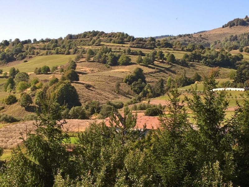 Agrolesn&iacute;ctvo v krajine 