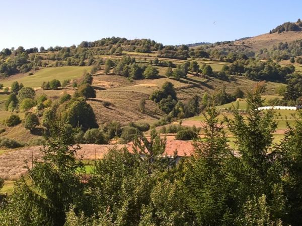 Agrolesn&iacute;ctvo v krajine 