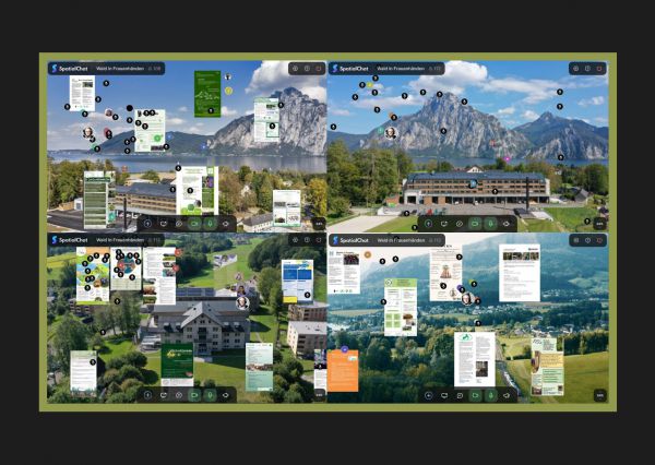 Foto popisovan&eacute;ho virtu&aacute;lneho priestoru konania konferencie Les v žensk&yacute;ch ruk&aacute;ch 