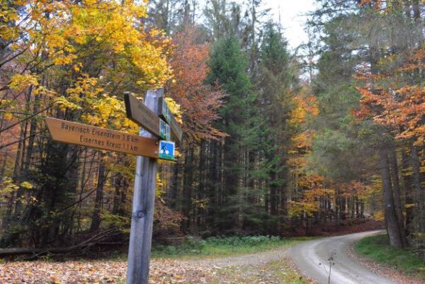 Ilustračné foto: Jozef Marko 