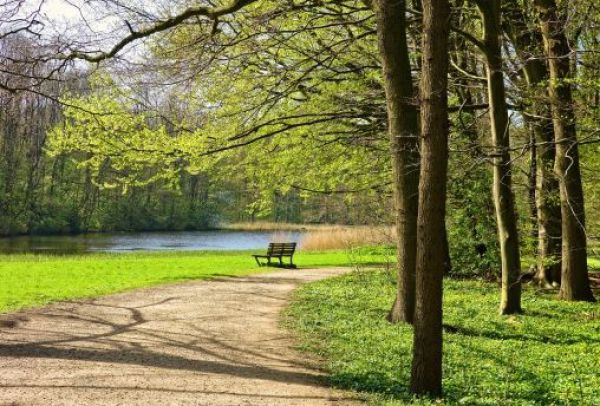 Na podporu zelene v mest&aacute;ch