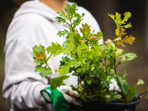 Zdroj: Internetová stránka Lesy ČR