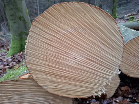 Zdroj: FB profil Ing. Róberta Gombárika 