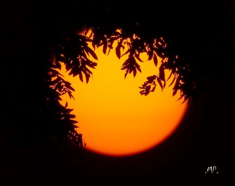 Ilustračné foto: Marek Pindroch