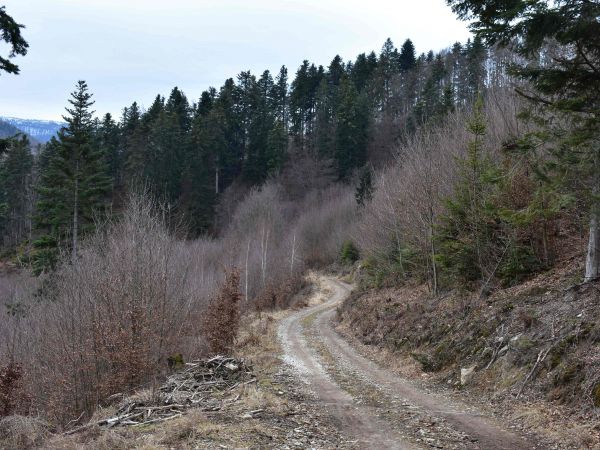 Ilustračné foto: Jozef Marko 