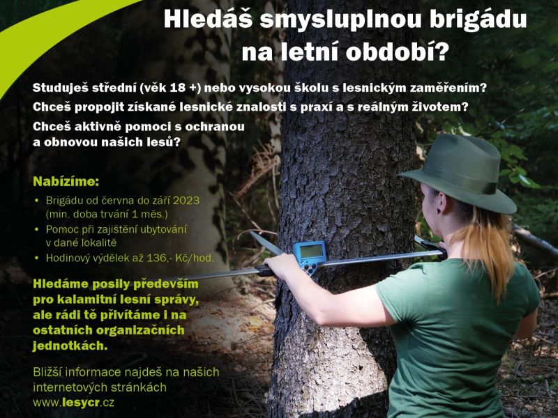 Zdroj: Lesy ČR 