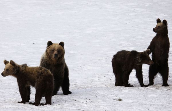 Ilustračn&eacute; foto: Ing. Pavol Lenko 