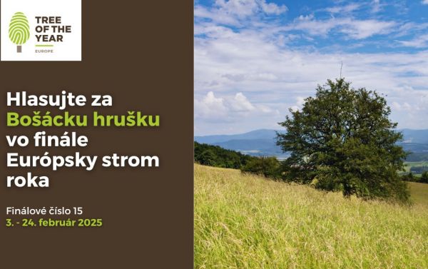 Zdroj: Internetová stránka Nadácie Ekopolis