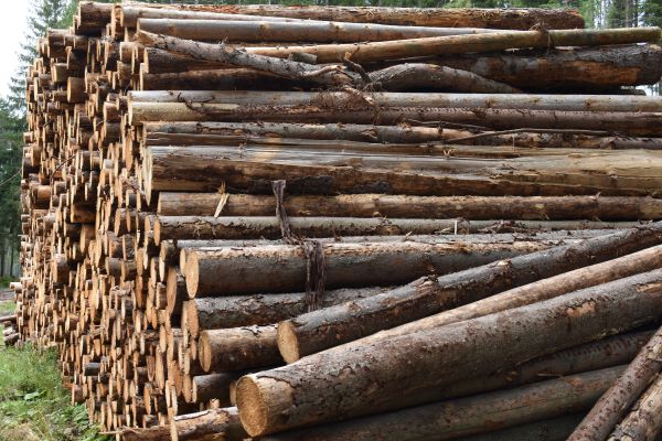 Ilustračn&eacute; foto Jozef Marko