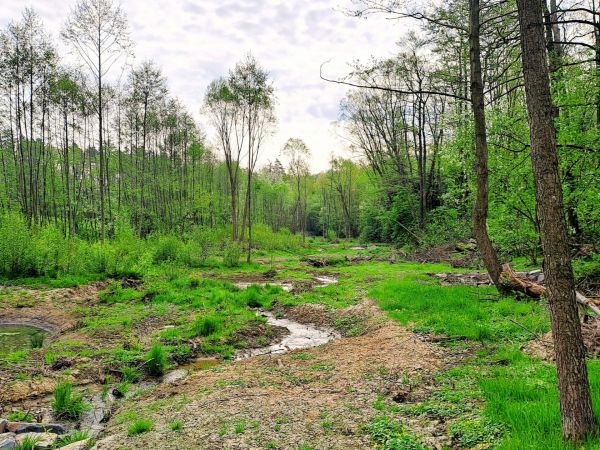 Meandre Hájnického potoka 