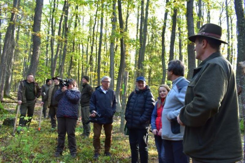 Ochranári finančne podporujú lesnícke postupy aj v Ordzovianskej dubine 